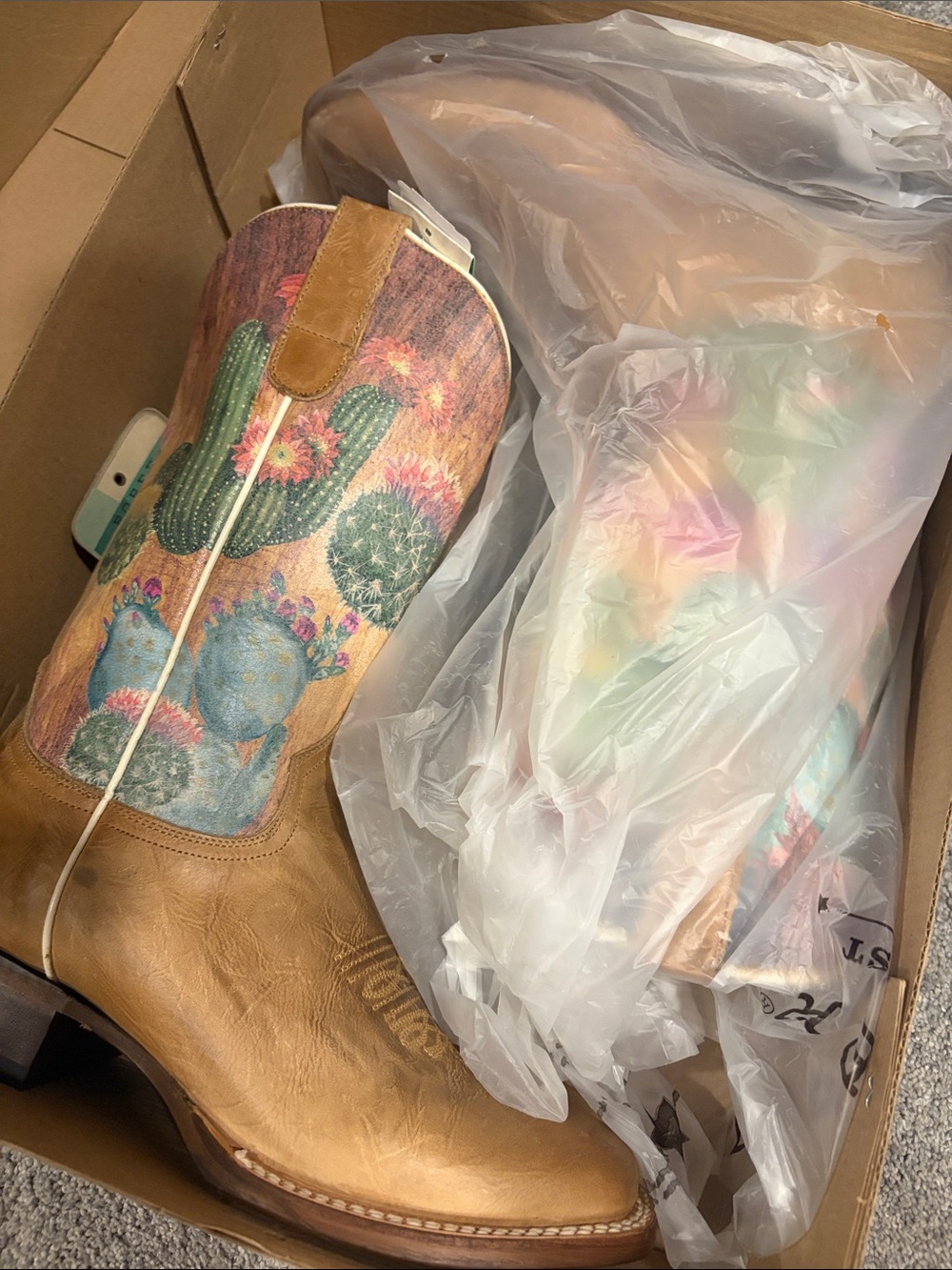 Cactus roper boots